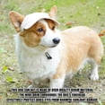 thumbnail image 4 of Sombrero para Perros con Orificios para Las Orejas – Visera Estilo Gorra de Béisbol para La Protección Solar de Mascotas, Sombrero Transpirable para Exteriores, Verano y Playa para Perros Pequeños, M, 4 of 7