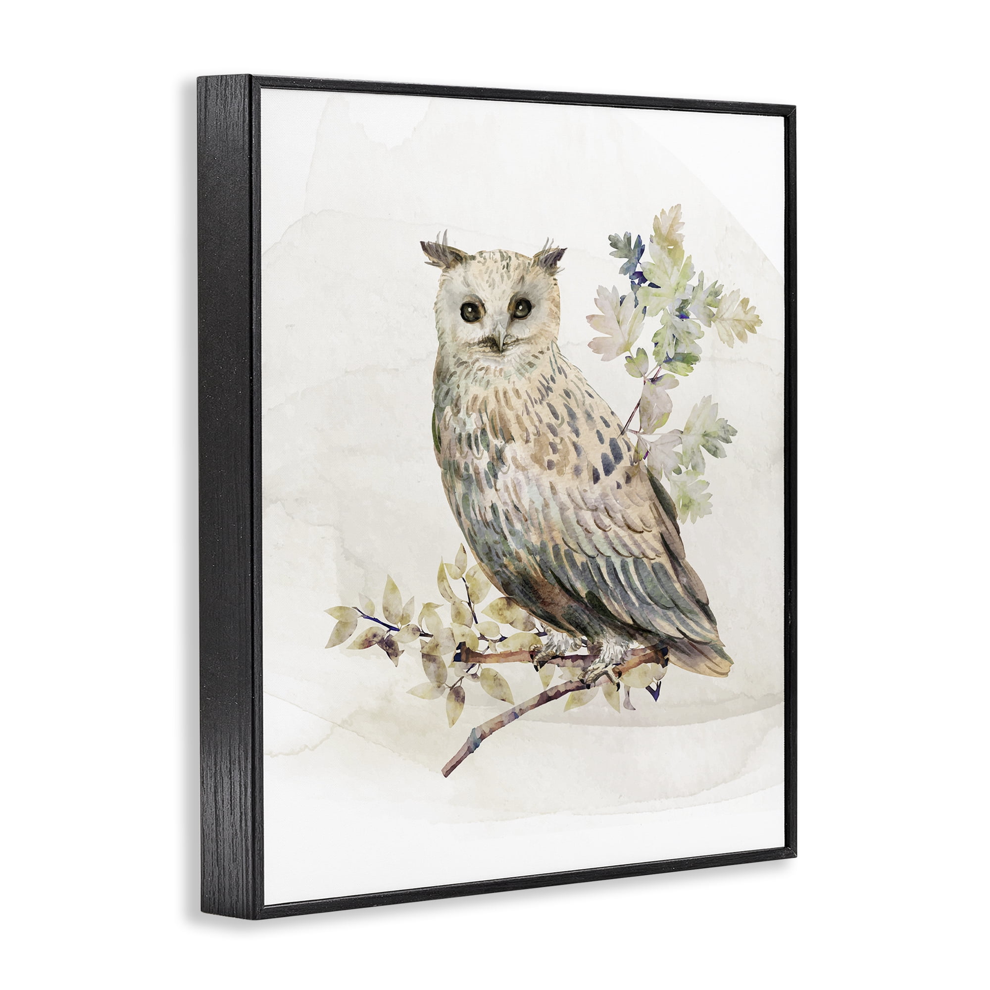 Stupell Industries Forest Owl with Foliage Black Framed Giclee Art, design by CAD Designs