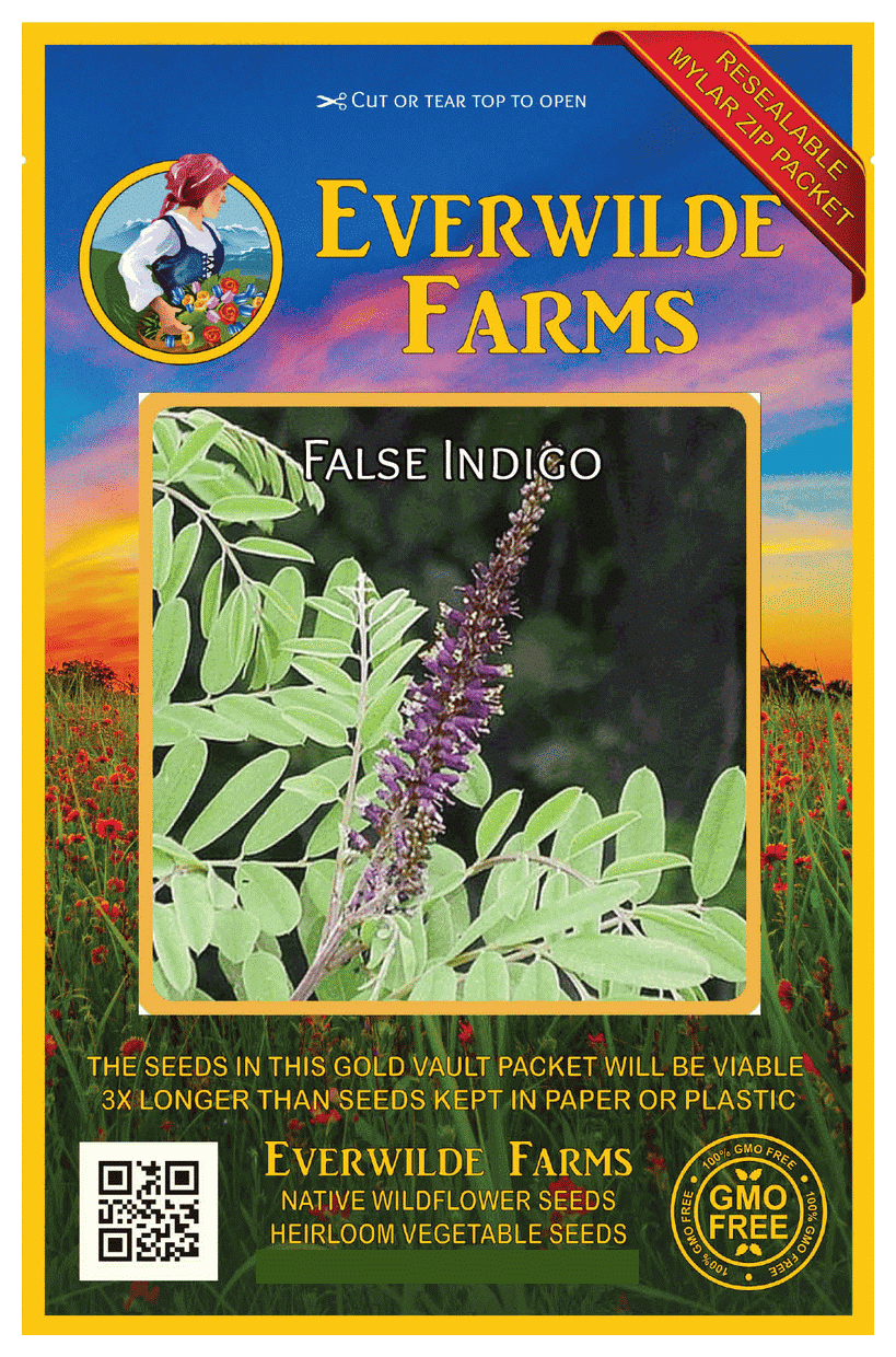 Everwilde Farms 200 False Indigo Native Wildflower Seeds Gold Vault
