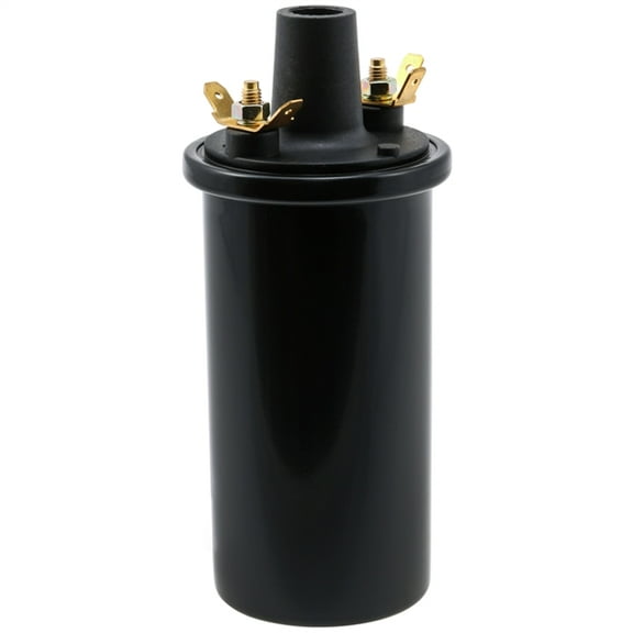 Genuine WVE Ignition Coil