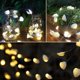 thumbnail image 5 of Ocean Real Seashell 0.8"(h) 40 Led String Lights 13.85ft Battery Operated Waterproof Warm White With Timer And Remote Control For Beach Themed Decor B, 5 of 5