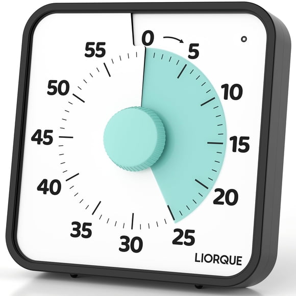 LIORQUE 19cm Visual Timer Large Timer for Classroom, 60 Minute Countdown Timer No Ticking with Magnetic Back, 3 Level Volumes & Vibrating & Light Ala