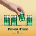 thumbnail image 6 of Fever-Tree Premium Ginger Ale , 8 pack, 150 ML Aluminum Cans, 0% ABV, 6 of 6