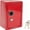 New Red Password Penny Bank, variant on Heavy duty double key safe box dual lock security portable floor or desktop vault for home office and commercial use