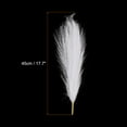 thumbnail image 2 of Uxcell 6Pcs Pampas Grass,17.7" Fake Pampas Grass for Home Decor,Wedding Decoration,White, 2 of 6