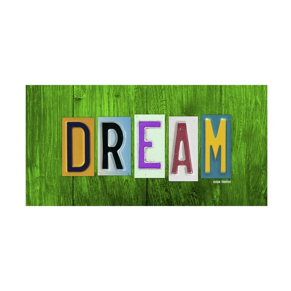 Trademark Fine Art 'Dream' Canvas Art by Design Turnpike