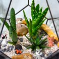 thumbnail image 4 of Marsui 40 Mini Figuras de Perros Set de Juego de Perros Realistas y Detallados Figuras de Perrito Juguetes de Animales de Perros Educativos para Cumplea&ntilde;os Navidad Pascua Topper de Tartas, 4 of 7