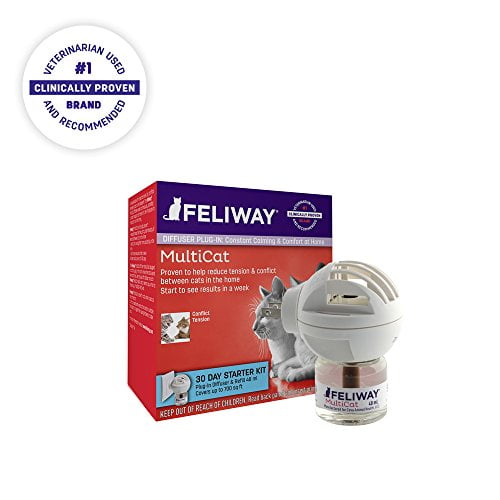 feliway multicat reviews