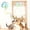Blue, variant on Cat Toys Interactive, Kitten Hanging Toys for Indoor Cats with 1*CaterpillarAutomatic Door Frame Cat String Toy for Bored Indoor Adult Cats,Detachable,Rechargeable Design