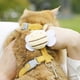 thumbnail image 5 of Pisexur Suministros para mascotas Apis Florea Cuerda de tracción para gatos Cuerda antideslizante en forma de T para caminar al aire libre Correa ajustable para el pecho perros, gatos y animales, 5 of 6