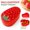 B, variant on Fruit Design Plastic Food Storage Container with Sealed Lid, 5.3 x 3.4 x 2.1 inch Fresh-keeping Box for Kitchen & Fridge (Avocado)