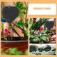 thumbnail image 4 of KAKOWELY 3Ud Para Plantas Exteriores Hechas En Y Piedra Para Etiquetas Duraderas, 4 of 7