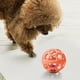 thumbnail image 4 of Pelotas Huecas Con Pelotas En El Interior Para La Limpieza De Los Dientes. Pelota Interactiva De Entrenamiento De Plástico Tpr Y Goma Para Mascotas. Pelota Hueca Para Perros. Juguete Interactivo Par, 4 of 5