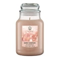 thumbnail image 1 of Vela Aromatica Hometrends Bubbly Champagne Aroma 500 G, 1 of 4
