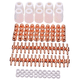thumbnail image 1 of Set 100 Consumibles Electrodos Boquilla Cortadora De Plasma BLOOSOM PT-31 LG-40 blanco cobre, 1 of 4