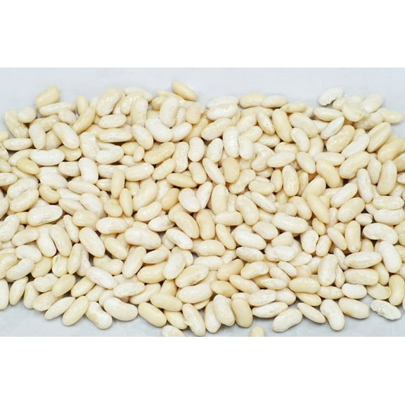Cannelini bean seeds
