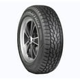 thumbnail image 1 of Cooper Evolution Winter 205/55R16XL 94H BSW, 1 of 6