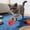 Red, variant on Cat Mice Toys Interactive Mouse Cat Toy for Indoor Adult Cats Kitten Kitty Baby Cat Chew Exercise Toy Fruit-Shaped Mice Cat Toy Set Red