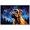 Boxer, variant on Australian Cattle Canvas Unframed Colofull Inspired bedroom decor - Dog Pet Family Animal Friend Peace Oil Painting Art Print Canvas Wall Décor