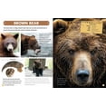 thumbnail image 2 of Mon Grand Livre d'Animaux, 2 of 3