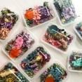 thumbnail image 2 of Real Dried Flowers Plants Pressed For Resin Jewellery Making Craft DIY Accessory, 2 of 8
