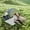 Grey, variant on 2.5" Portable Memory Foam Camping Mattress, Roll-up Sleeping Pad with Non-Slip and Travel Bag, for Car, Guests Sleepover, Green