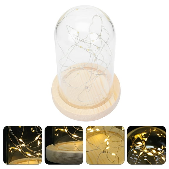 FONWILYO 1Pack Clear Glass Dome Ideal for Desktop Decoration in Delicate Design 8Inch