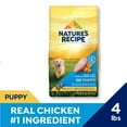 thumbnail image 3 of Nature′s Recipe Dry Puppy Food, Grain Free Puppy Chicken, Sweet Potato & Pumpkin Recipe, 4 lb. Bag, 3 of 14