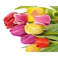 thumbnail image 1 of Tulipes Colorées - Peinture Diamant DIY, 1 of 6