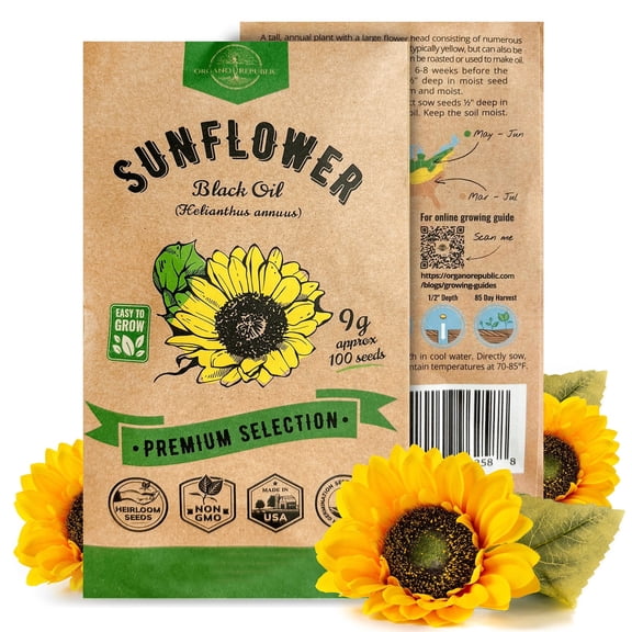 Organo Republic Black Oil Sunflower Seeds, 100  Non-GMO Heirloom Seeds, 9G Packet for Planting Indoors & Outdoors, Edible Sunflower Variety for Home Garden