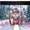 thumbnail image 4 of Hello Welcome Winter The Ski Shih Tzu Snowy Day All Over Print Boxer Briefs Underwear for Men Dad Lion Dog Lover Gifts - 13013, 4 of 6