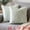 Light Green, variant on Unique Bargains Set of 2 Modern Botanical Floral Printed Throw Pillow Covers Grey 18"x18"
