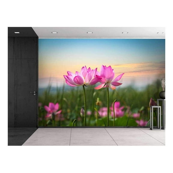 wall26 - Pink Lotus Flowers Looking Over The Sunset - Wall Mural, Removable Sticker, Home Decor - 66x96 inches