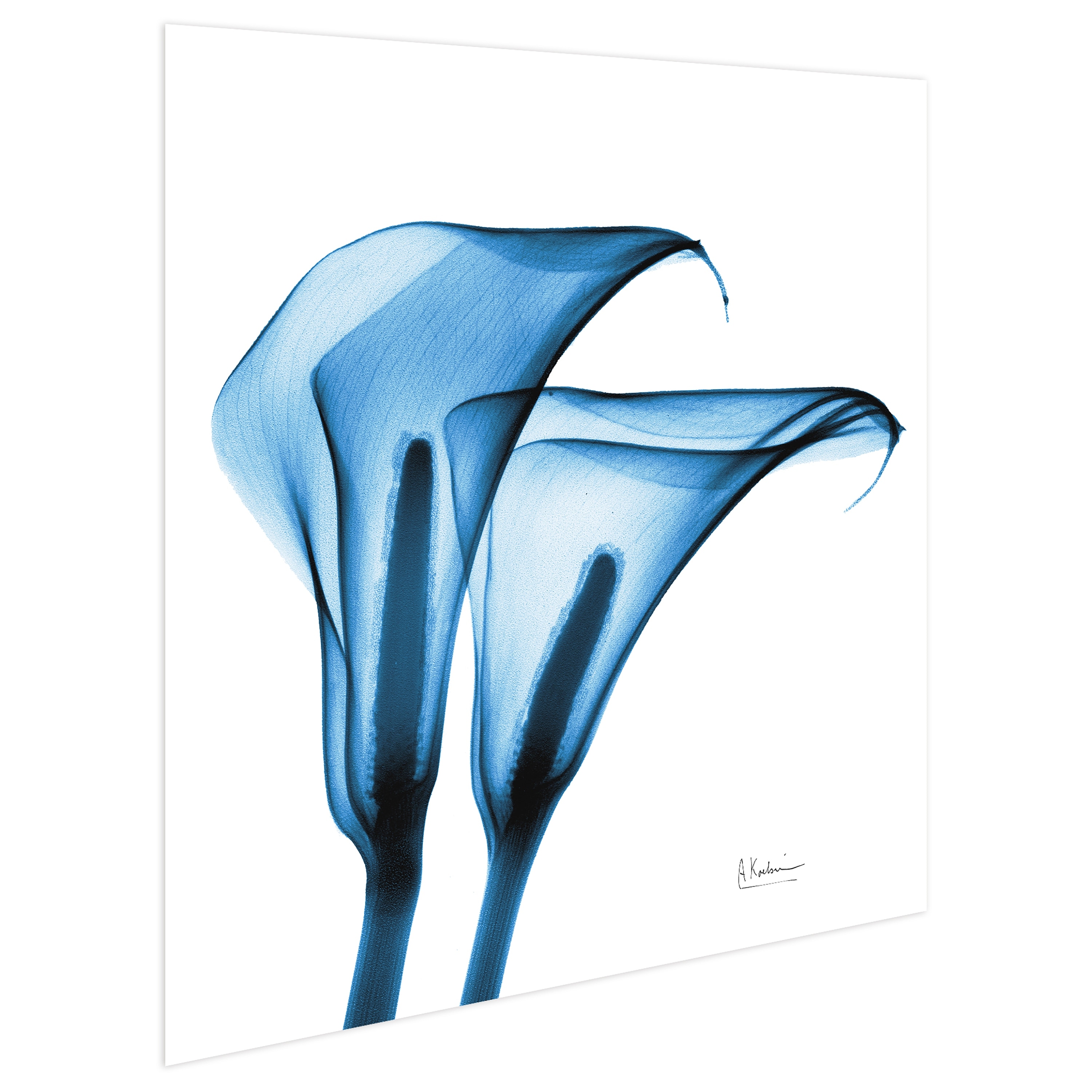 Flower 24 in x 24 in Painting Art Prints, by Empire Art
