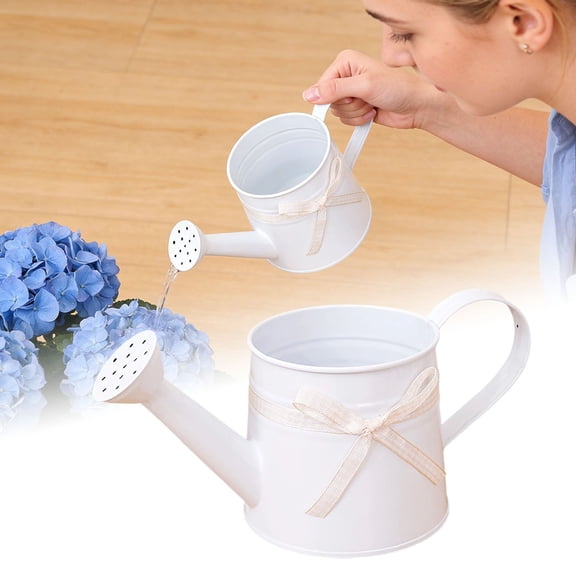 Watering Can Gardening Tools Accessories, Metal Watering Can Garden Watering Can For Indoor And Outdoor Lawn Garden,White