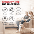 thumbnail image 4 of Honeywell Allergen Plus 1080 Sq. Ft 4-in-1 HEPA Air Purifier, Auto Mode Reduces Pet Dander, Smoke & Odors, Black, 4 of 14