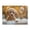 500 Pieces, variant on Puppy Bath Time Bubbles 500-Piece Wooden Jigsaw Puzzle for Adults, Fun & Challenging Family Brain-Teaser, Perfect Home Decor & Gift