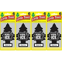 LITTLE TREES Black Ice Air Freshener, (Pack of 24)