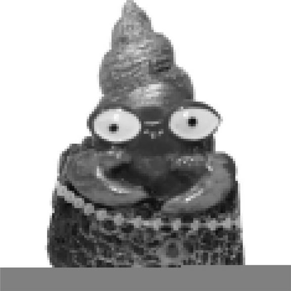 Blue Ribbon Pet Products EE-1904 1.75 x 1.5 x 2 in. Exotic Environments Spiral Shell Crab