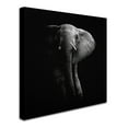 thumbnail image 2 of Trademark Fine Art 'Elephant' Canvas Art by WildPhotoArt, 2 of 3