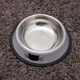 thumbnail image 7 of 2Pc Stainless Steel Cat Bowl for Dish Water Dog Food Bowl Pet Kitten Cat Feeder (Grey and Green), 7 of 7