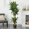 thumbnail image 3 of Nearly Natural 5ft. Yucca Silk Plant, Green, 3 of 5
