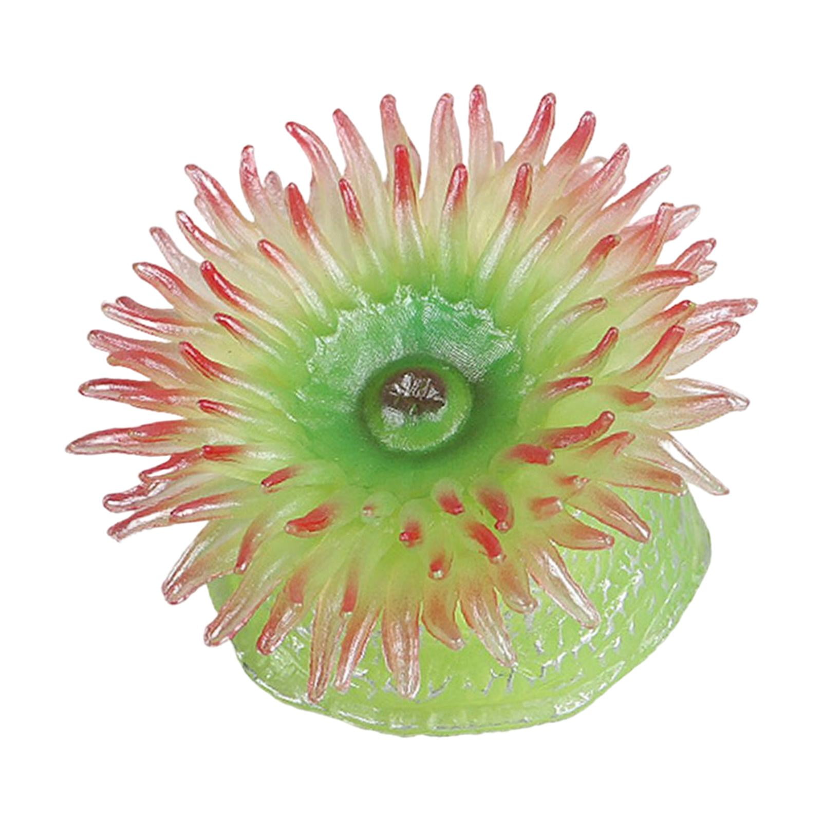 知育玩具 anemone Sea Creatures Sea Anemone Learning Toys Aquarium Landscape