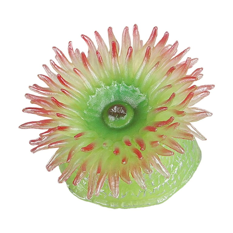 知育玩具 anemone Sea Creatures Sea Anemone Learning Toys Aquarium Landscape