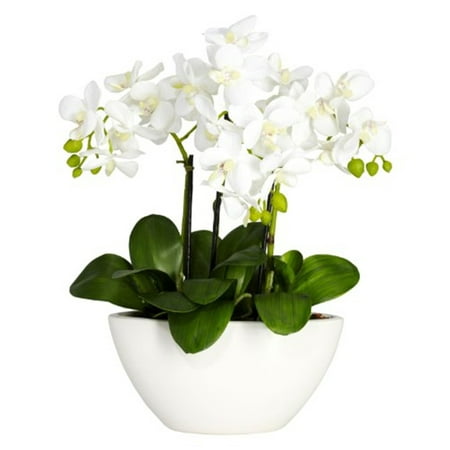 Nearly Natural 15 in. Phalaenopsis Orchid Artificial Flowers Arrangement in White Vase  White Nearly Natural Phalaenopsis Silk Flower Arrangement - White Bring the brightness of a sunny day to any room in your home with this gorgeous Triple Mini Phalaenopsis. With three distinct stems sprouting forth from a lush base of green leaves culminate in soft  bright blooms (replete with berry buds for contrast.) This  bundle of sunshine  comes complete with a beautiful white bowl-vase planter. Makes an ideal gift. Height: 16    Width: 12    Depth: 7  . Category: Silk Arrangement. Color: White. Vase: W: 8.75 in  H: 4.5 in  D: 3.5 in Brand: Nearly Natural Model Number: 1368-4804Shipping Details