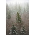 thumbnail image 2 of Nature Magick  11x14 Gold Ornate Wood Framed with Double Matting Museum Art Print Titled - Forest Fog Winter Snow, 2 of 4