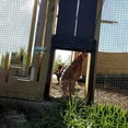 thumbnail image 3 of Puerta automática para gallinero de plástico reforzado rojo con energía solar - Puerta automática para gallinero a batería, 3 of 5