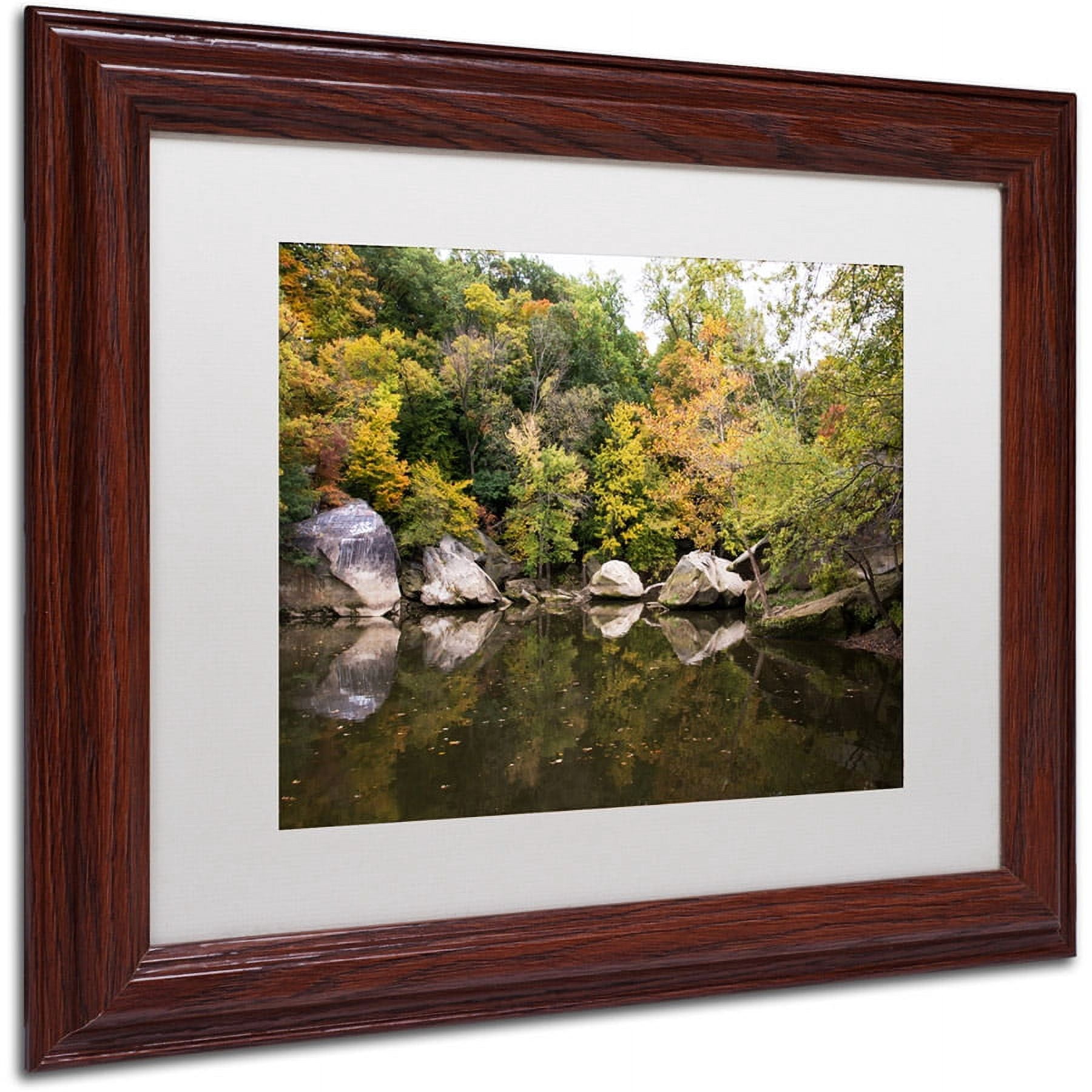Trademark Fine Art "Graffiti Fall" Canvas Art by Kurt Shaffer, White Matte, Wood Frame
