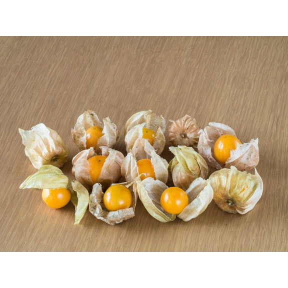 200 Seeds - Organic GROUND CHERRY Physalis Pruinosa ( Golden Strawberry / Chinese Lantern ) Vegetable Seeds