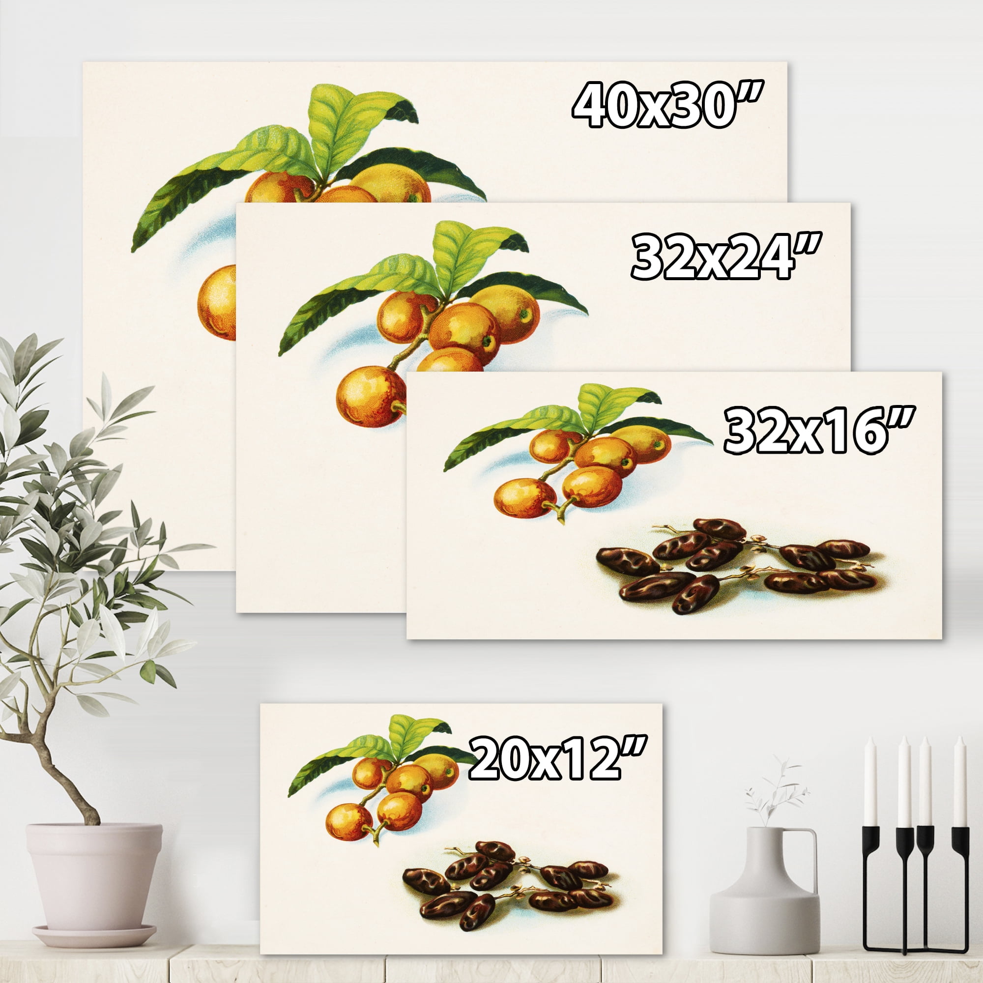 Designart ' Ancient Fruits IV ' Farmhouse Canvas Wall Art Print